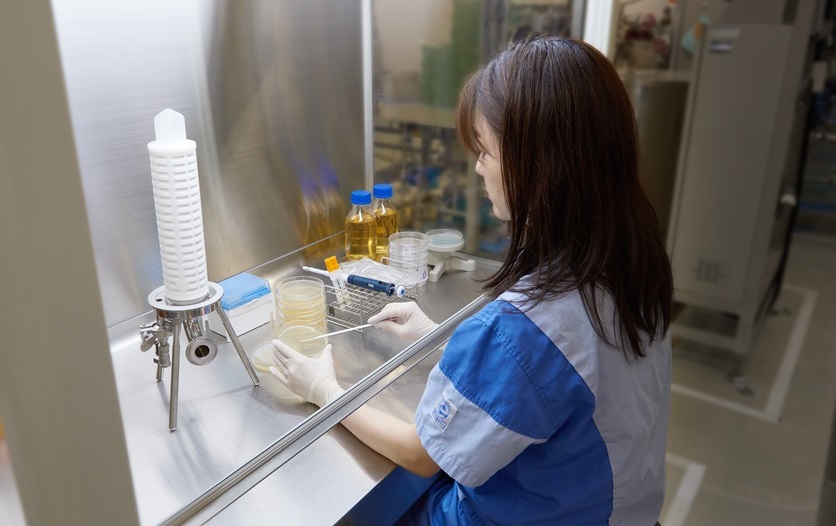 微生物株の殺菌効果の検証をしている様子